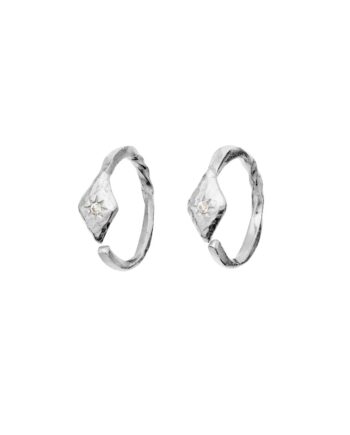 Maanesten øreringe Forte Earrings Sølv