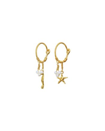 Maanesten øreringe Momi Earrings Guld