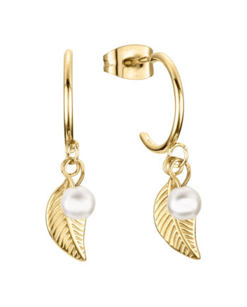 Dortmund ørestikker