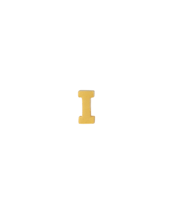Ix   Earring