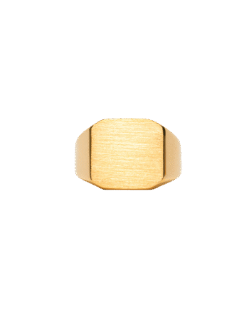 Ix Octagon Signet Ring