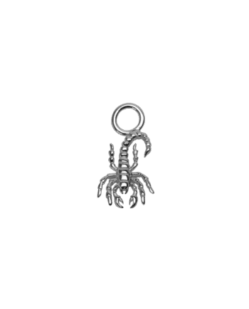 Ix Scorpion Charm Silver