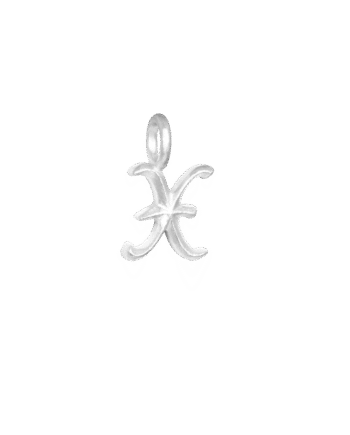 Ix   Ice Charm Silver