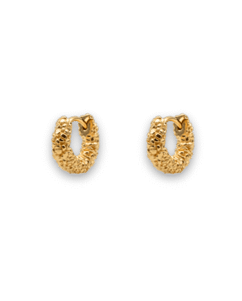 Ix Zoe Earring