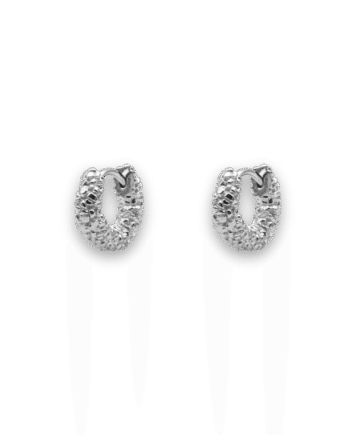 Ix Zoe Earring Silver