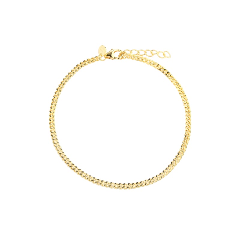 Panzer Anklet Gold 22     Cm