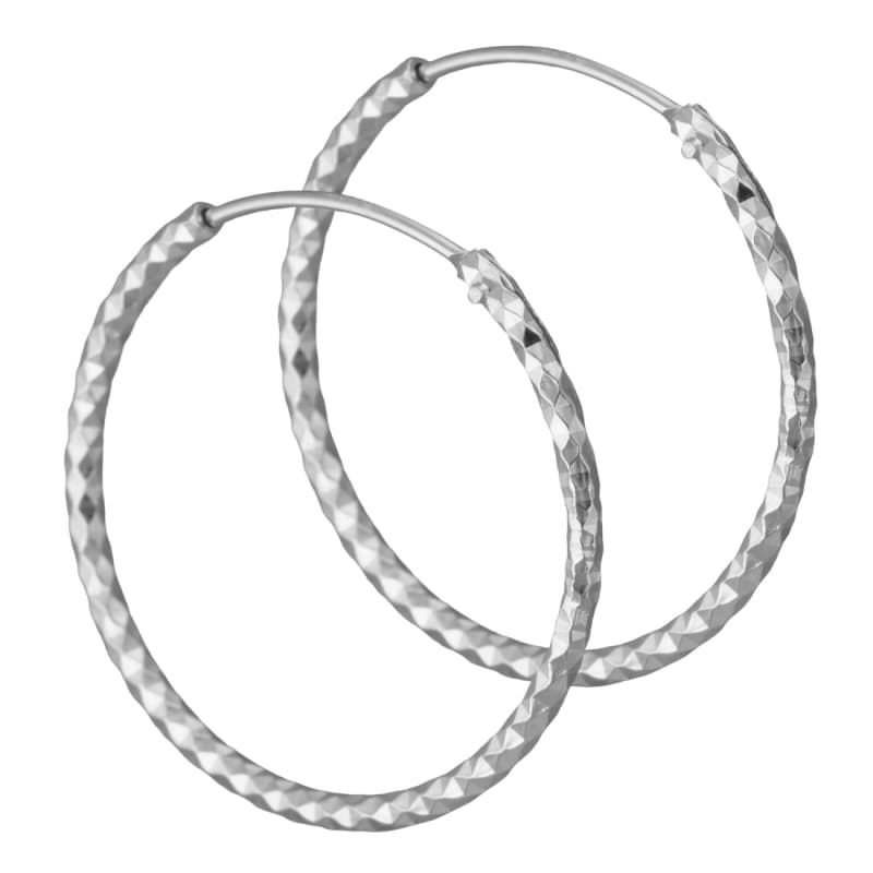 Dina Hoops   Silver