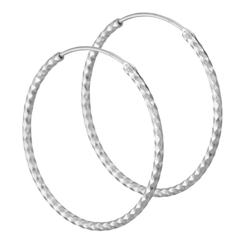 Donna Hoops   Silver