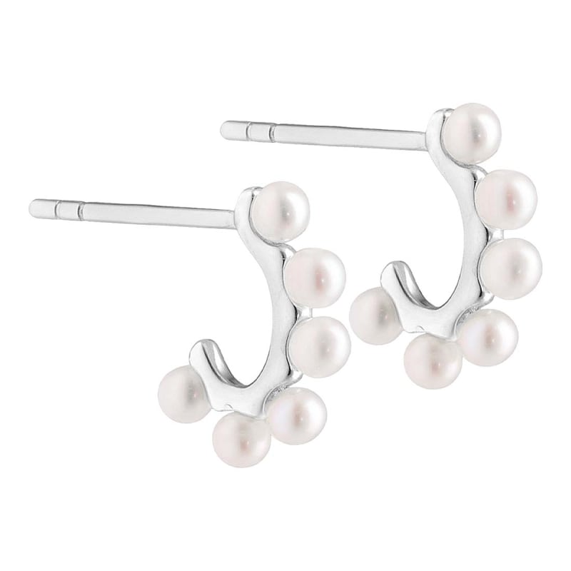 Patricia Hoops   Silver